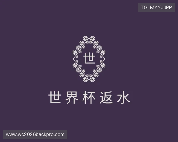 介绍世界杯返水